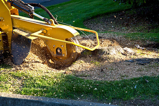 Artificial Turf Installation in Olean, NY