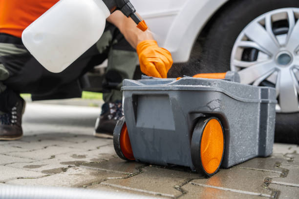 How Our Tree Care Process Works  in  Olean, NY